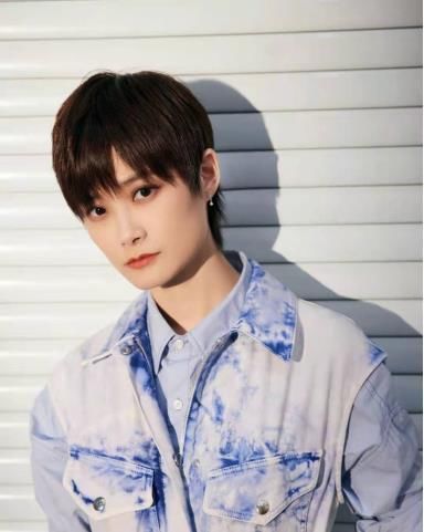 黃曉明|賈玲沈騰一個動作爆笑復(fù)刻黃曉明和李宇春,簡直比鏡子還像