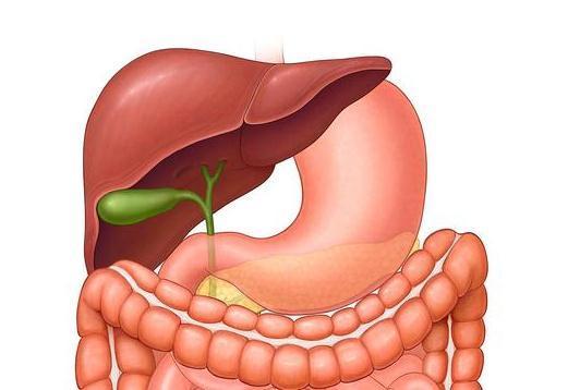息肉|直径5毫米的肠息肉,变成肠癌要多长时间?是不是割掉就没事了?