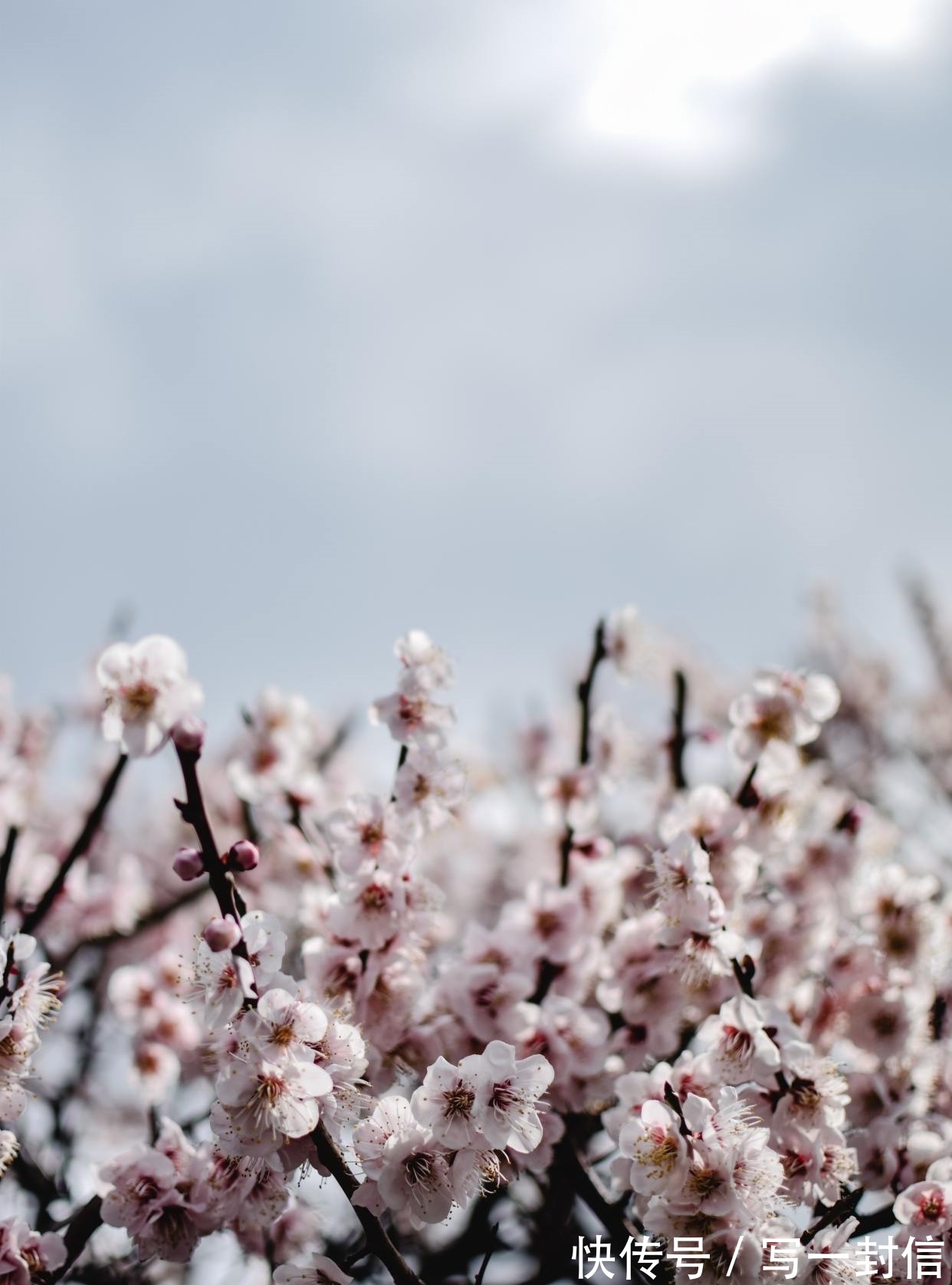 空青&欧阳修自己都满意的一首诗,称前4句浑然一体,结尾14字豁达乐观