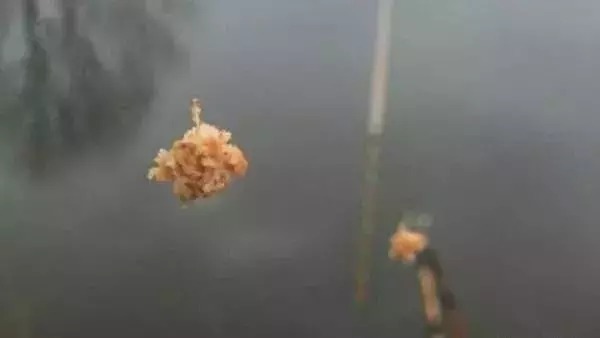 钓鱼5个小窍门,让你的空枪率降低45%以上,渔获爆护