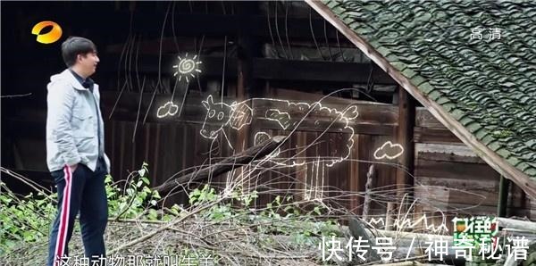 时长|最好的嘉宾，最短的时长，向往的生活这期亏在时长都给了陈赫！