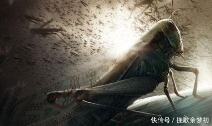 老汪|《三体》中最震撼的五句话,听后还真是让人无语啊!