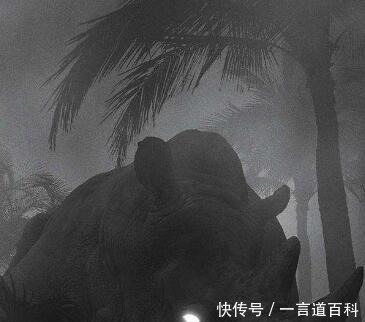 抑郁症|精神科主任告诉你有以下情况要注意了，有可能患有“抑郁症”！