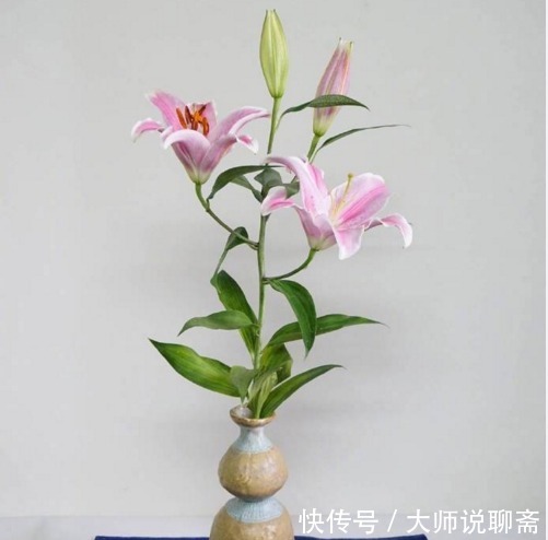 一段话|受益终生的一段话,见解独到,引人深思!