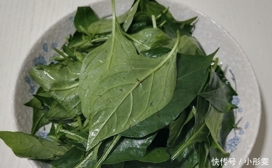 食欲|鸡蛋和它才是天生一对，每周吃1次，祛湿健脾胃，食欲也增强了