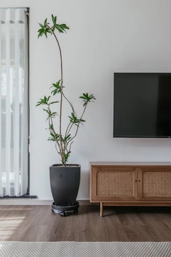 146㎡现代简约设计风格，打造南北朝向的明亮空间|黄石装修 | 过道