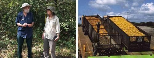 eco 人类为了拯救受伤地球所进行的13个项目