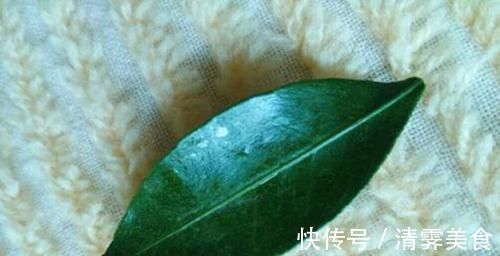 止咳|不管咳嗽多严重，水里加上一把它，煮开喝一碗当场就能止咳