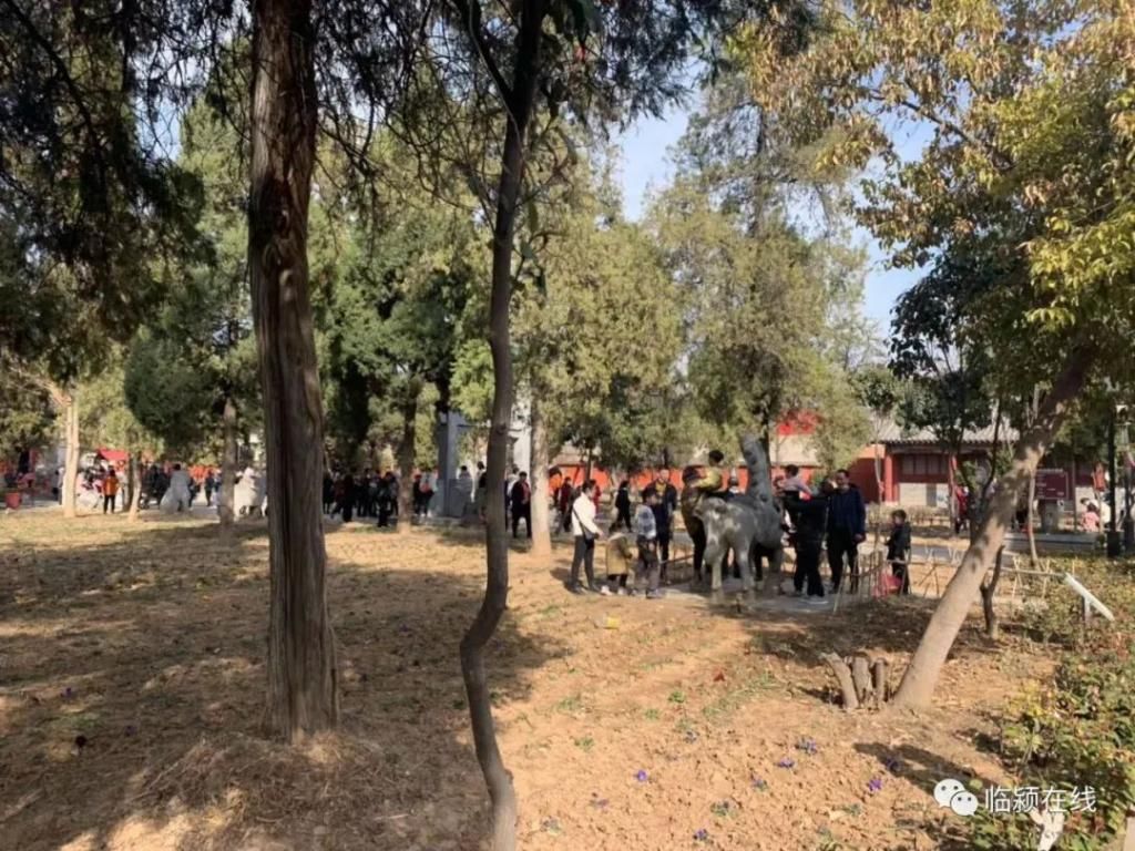 漯河人免费入园!这个景区春节人山人海,好热闹...