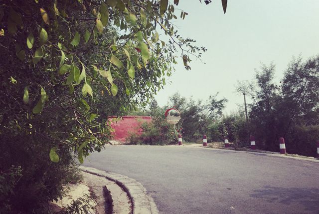 俗语“百艺百穷,无艺成龙”什么意思?道理很深刻,却少有人懂