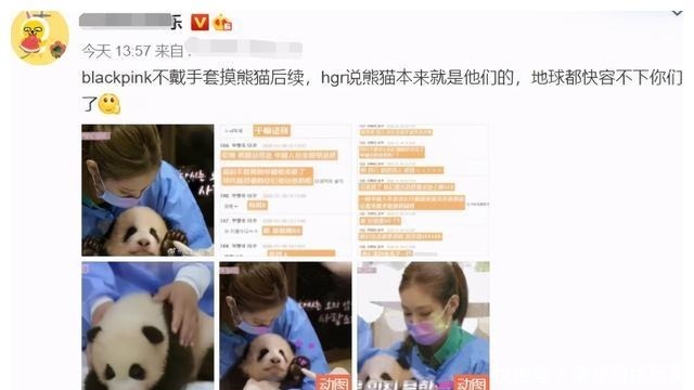 抢汉服熊猫还不够？韩网友称鞠婧祎《如意芳霏》抄韩国放河灯习俗