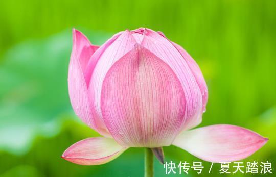 投机性|11月下旬，4属相吉星进门，桃花旺盛，福气满满，日子一顺百顺