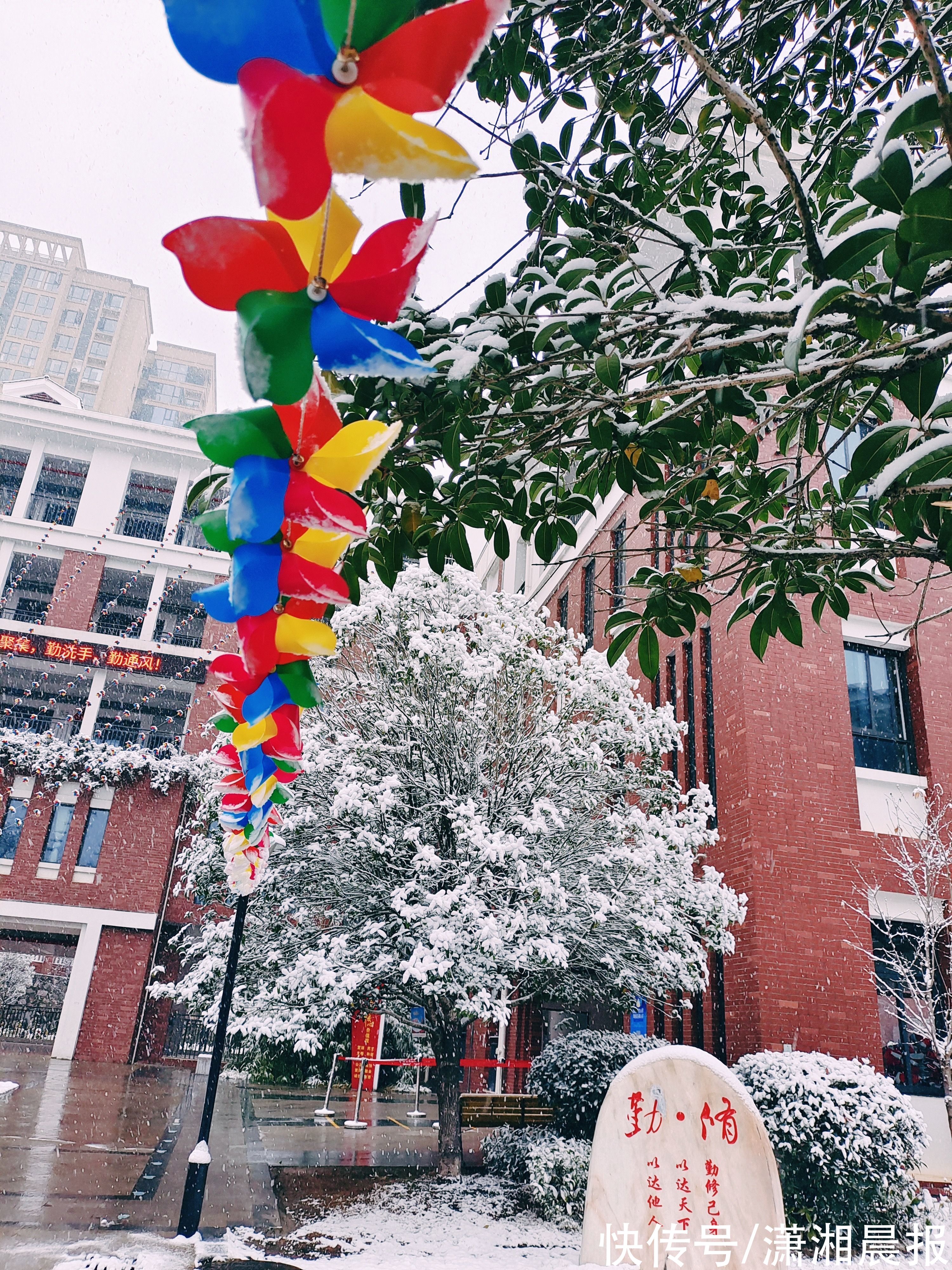 长沙|长沙初雪自带美颜滤镜，校园里“千树万树梨花开”