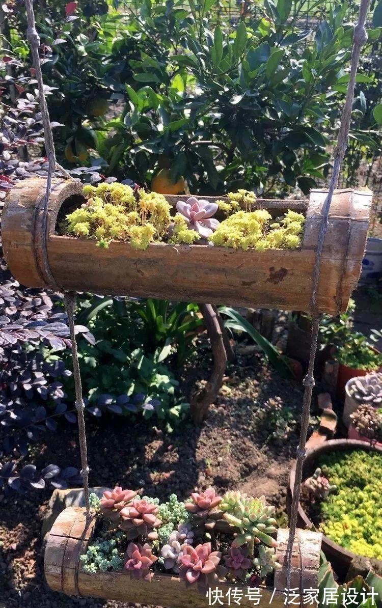 叶插|用葫芦种多肉，一养就是三年，邻居给钱都不卖