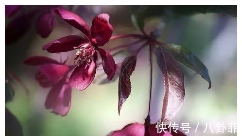 旧情终|1天后，历经风雨，心系旧爱，红线重连，牵手旧爱，旧情终能复燃