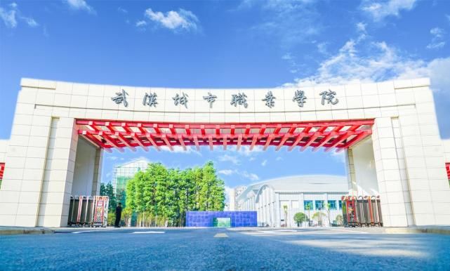 大学|2021湖北省技能高考计算机能考哪些大学