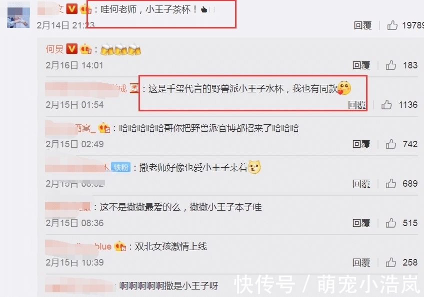 放假|何炅放假在家做蛋糕,却意外带火蛋糕旁边的杯子,带货能力没谁了
