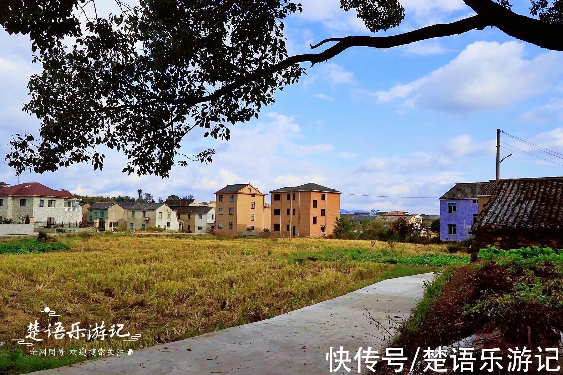 浙江这个古村被田野包裹，饱含田园风情，百亩梯田成为独特风景