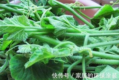 身材|女性养生此菜可多吃，皮肤细腻光滑，皱纹淡了，身材越来越苗条