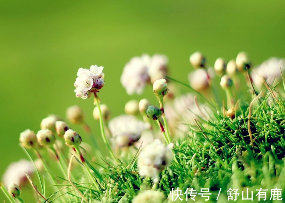 福运&“一念舍得,一生顺遂”:50岁后有福运的人,都舍得这4样东西