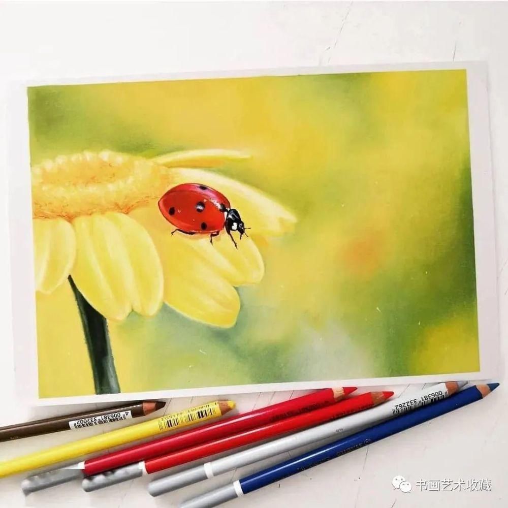  美女|一匹马画了16年！美女学渣逆袭成功，坚持下来很酷！