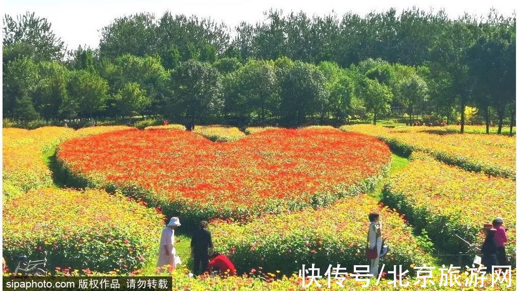 景点|京城赏秋花，这几处景点必须知道