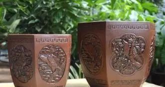 花盆|养君子兰，记住5个小口诀，养一盆旺一盆