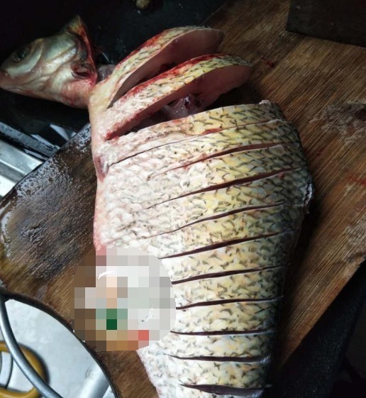 家人聚餐,这道家常蒸菜,蒸一蒸,8分钟上桌,鲜美到流口水