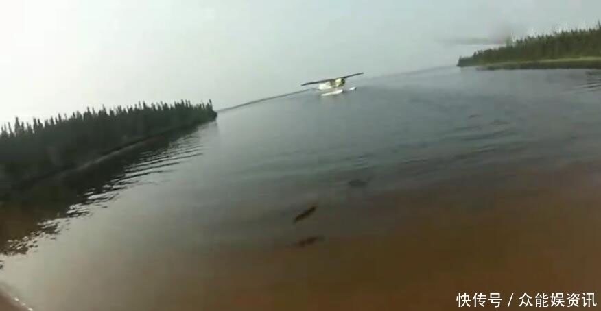 野外抓的小鱼可以养吗