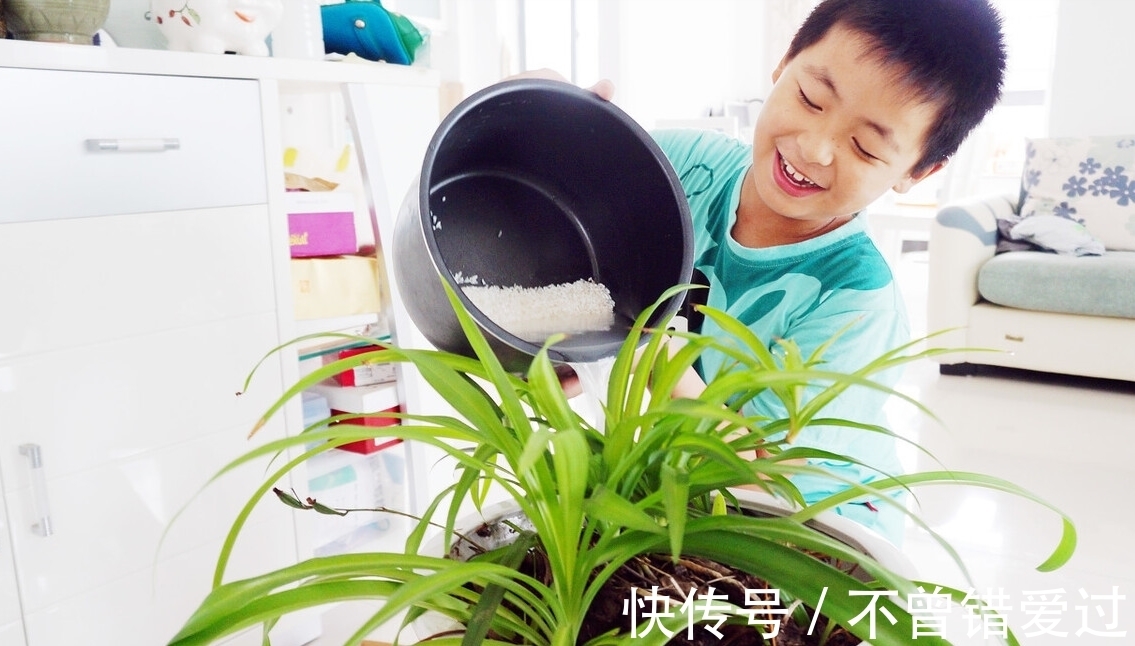 在家就能制作的养花肥水,制作方法简单,肥效好