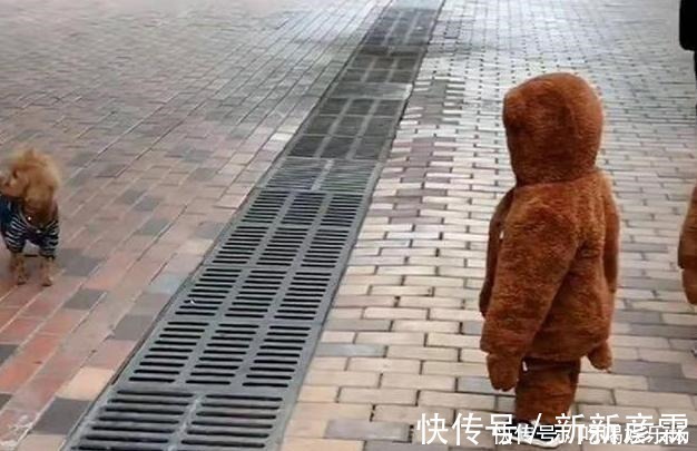 可爱|双胞胎散步偶遇泰迪犬,“撞衫”场面实属尴尬,宝宝这啥情况!