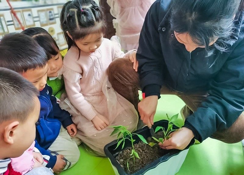 回归自然 种植希望