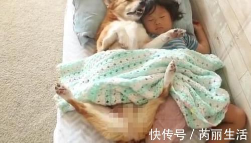 宠物狗|宝妈看女宝午睡有没有踢被子 眼前的一幕让宝妈捧腹大笑!