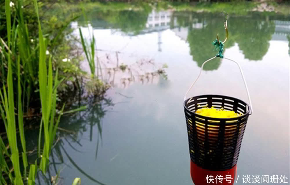 技巧|手竿钓鲫鱼，钓位选择技巧，一年四季都可钓草，但是四季都不同！