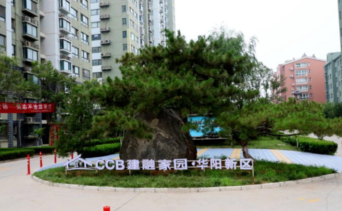 山东省分行|中国国际经济交流中心“新时期住房政策转型”课题组调研CCB建融家园·济南华阳新区青年公寓