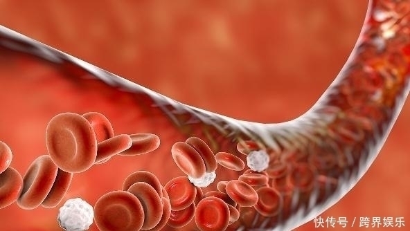 血液垃圾|白菜萝卜“靠边站”,它才是“菜王”,帮助清血管,还能养胃护胃