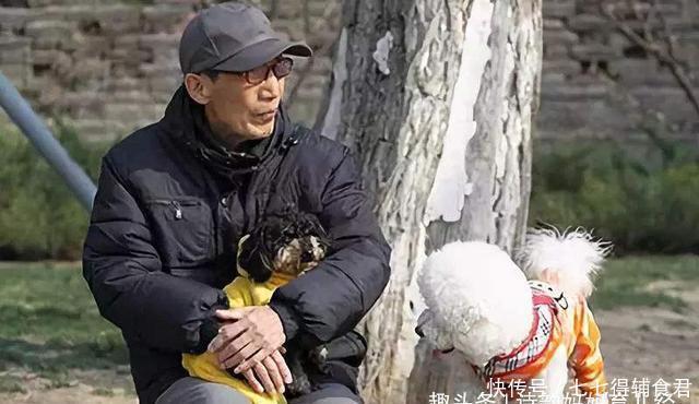 人的一生|没孩子是怎样一种体验第一批“丁克族”已到晚年,现在咋样了