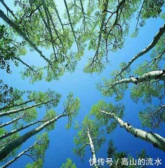 只有登上山顶，才能看到那边的风光