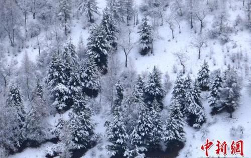 高原春雪分外妖娆 似丹青水墨画