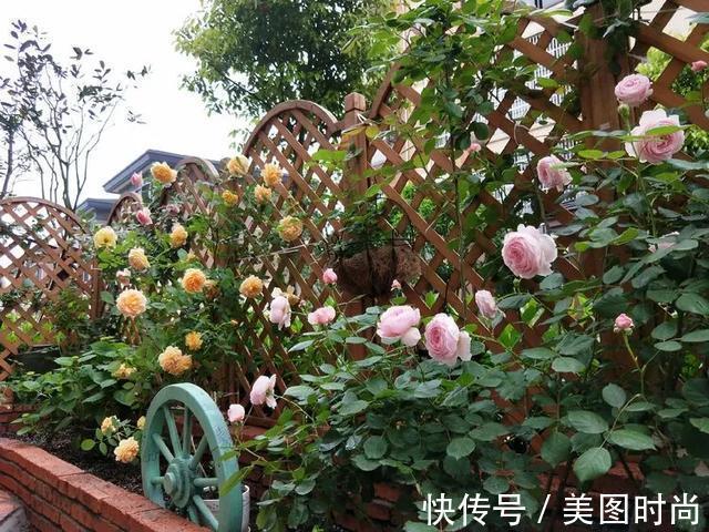 黄先森|3年前,他买了一栋带花园的小洋房,为她打造了一个童话般的花园