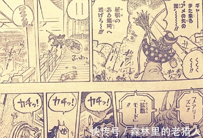 赏金|海贼王1014话：马尔科赏金低于15亿贝利，基德和罗被大妈嘲笑了
