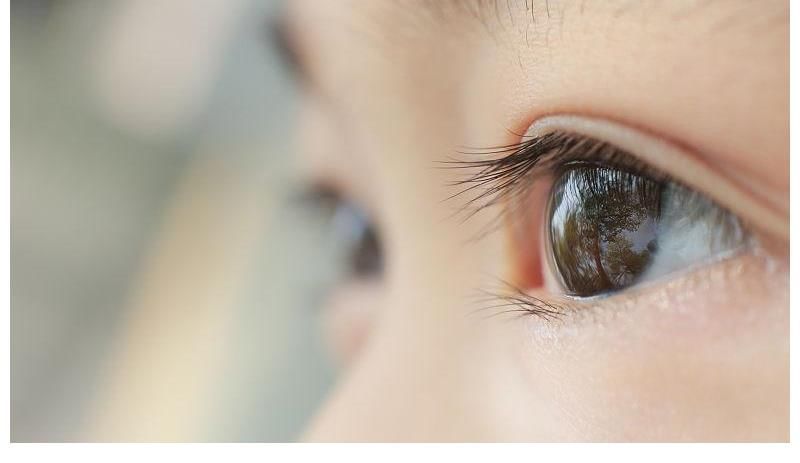 孩子们|双商高的孩子,才有的这几种表现,家长们好好培养吧