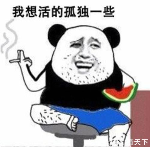 |十条段子:彪悍的人,梦里都彪悍