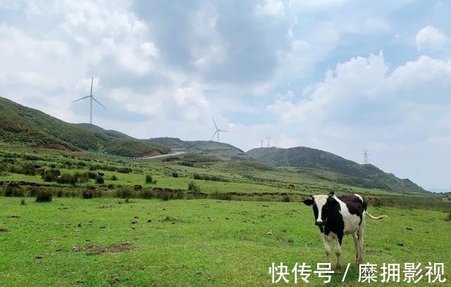 风景|这座夏天19℃的“蜜雪冰城”有多好吃？美食比成都更上头，风景比川西更惊艳！