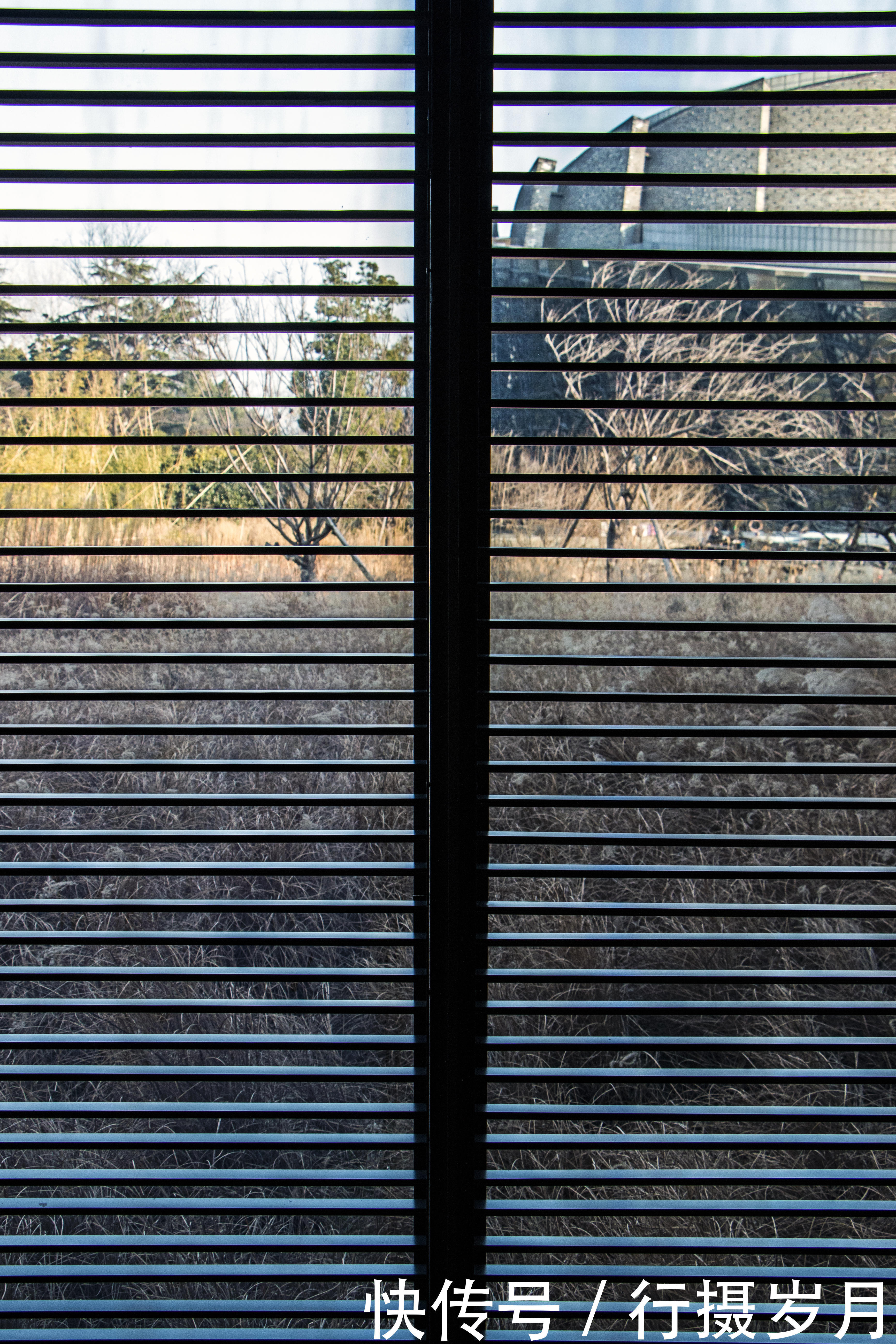 嗅出|冬至将至,谁已嗅出春天的味道