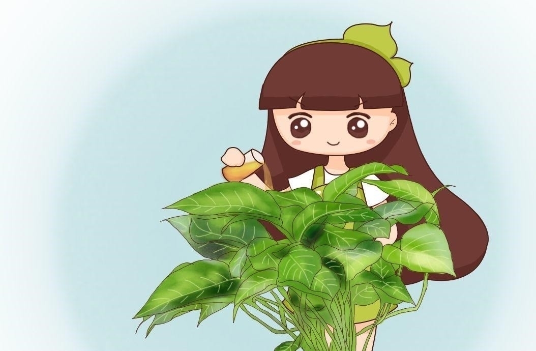 养花|自制养花杀菌水,7天浇一勺,花不生虫不烂根