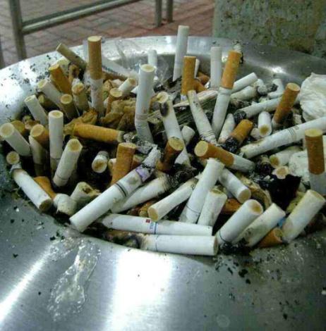 养花栽种前,混合土加点“粉末”,不生虫、长得旺,养啥都能用