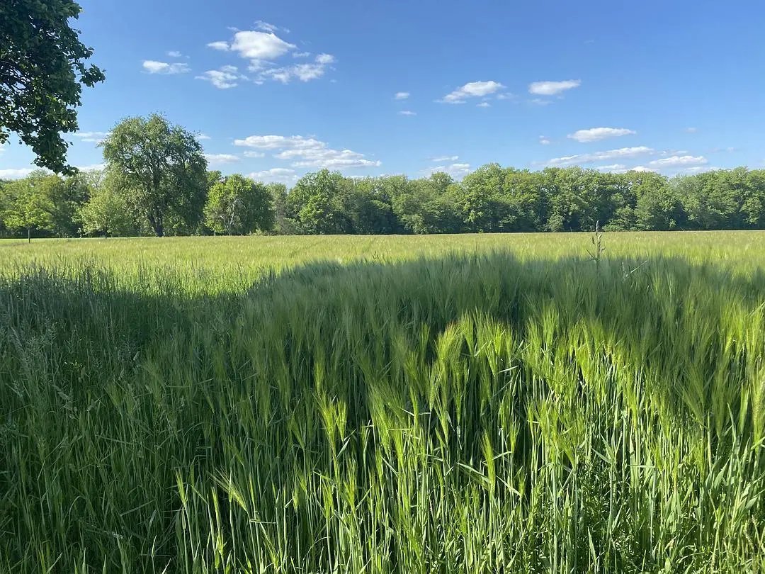 人约黄昏后#诗词丨给40首古诗加上配图,恍然大悟,惊为天人