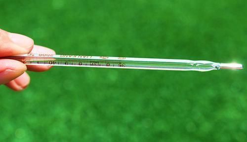 排卵期|女人在排卵期身上会散发香味怎么知道排卵期到来医生详细解答