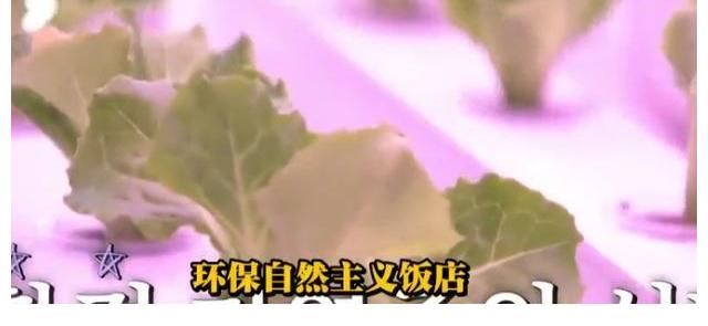 第六感|刘在石《第六感》确定不是一档美食推荐节目?